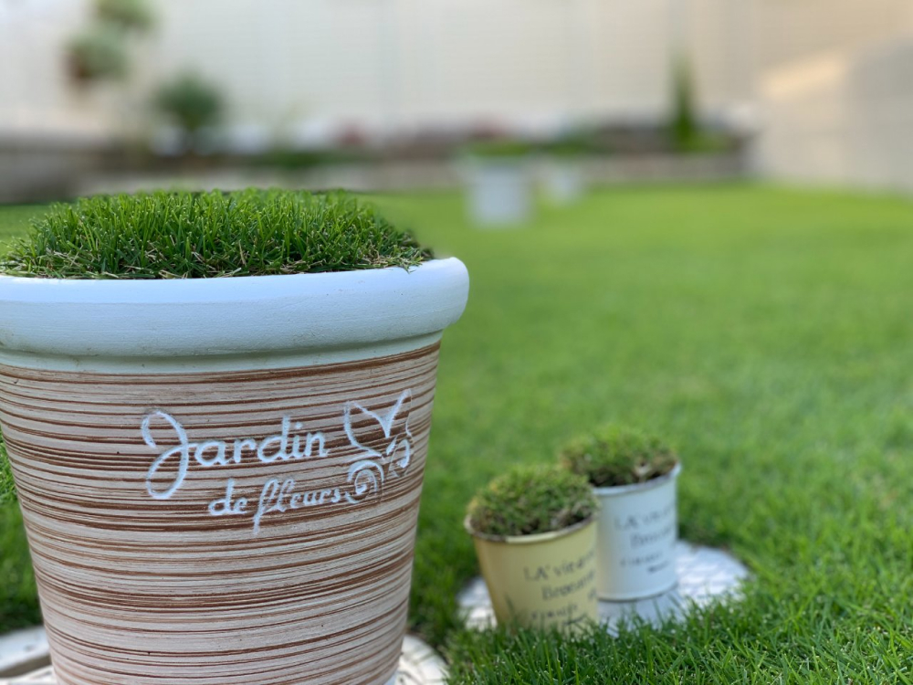 植物栽培