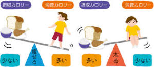 摂取カロリー・消費カロリー