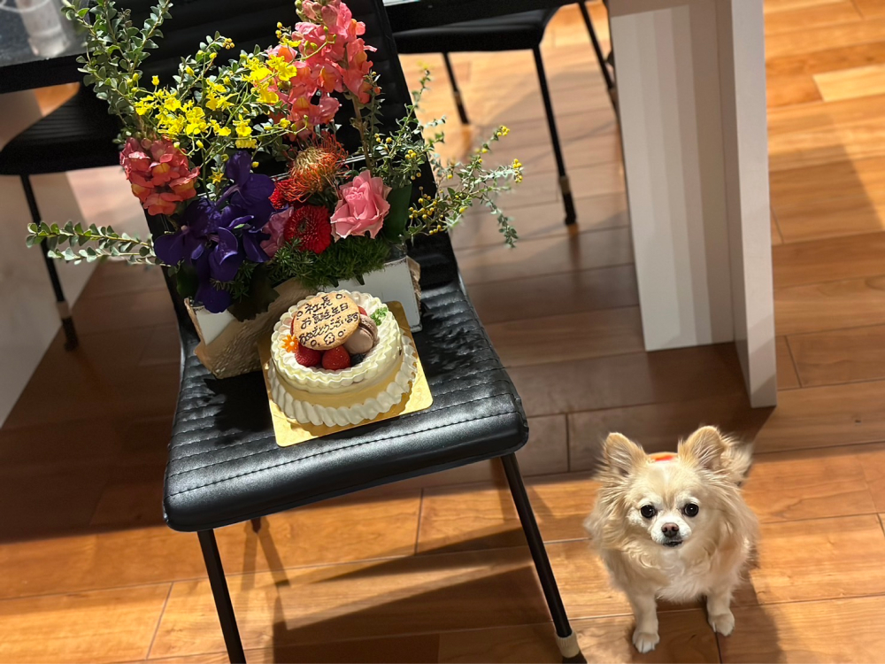 誕生日ケーキ